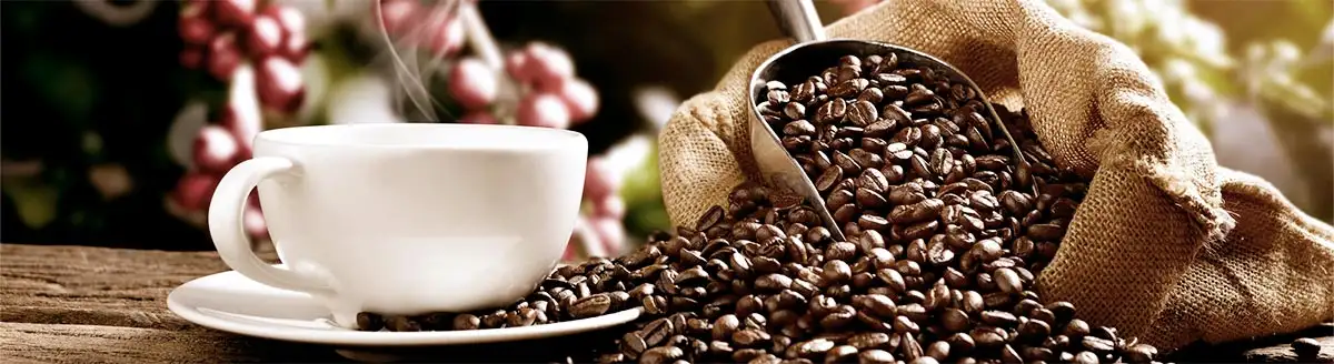 Kaffeekirsche Kaffeebohne Kaffeekirsche Kaffeebohne