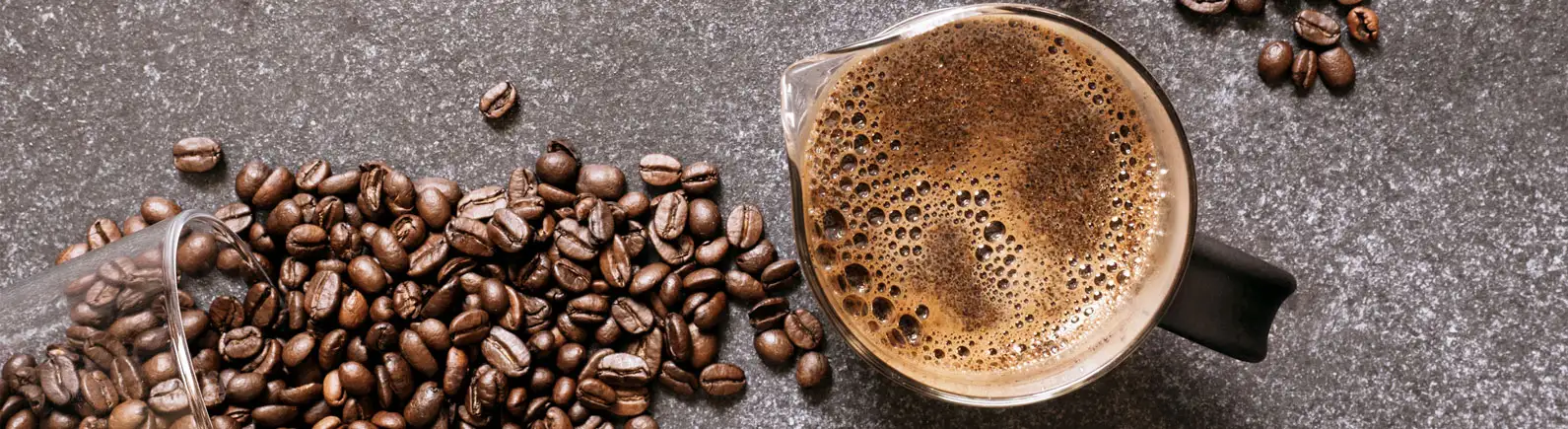 French Press French Press