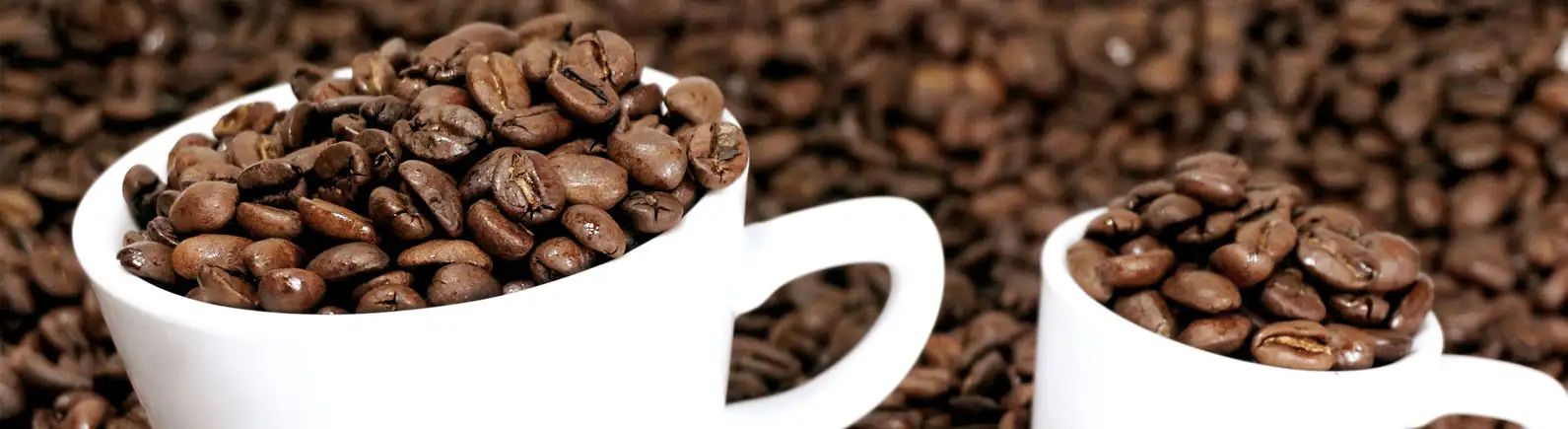 Kaffeebohnen Kaffeebohnen
