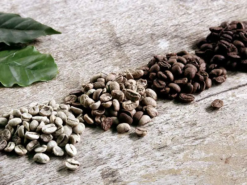 kaffeebohne kaffeebohne
